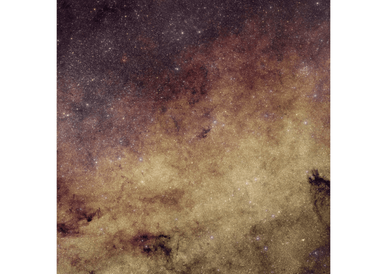 A dense field of tiny stars fills this square image taken by the European Space Agency’s Euclid space telescope. The lower and central areas are dominated by bright yellow and gold colours, forming a textured background similar to fine glitter or sand. Dark brown and black patches cut irregularly through the yellow regions, like ink stains or clouds of smoke. Toward the upper left, the colours shift to purple and reddish tones, blending gently into the surrounding star field. Small blue points of light are scattered across the image